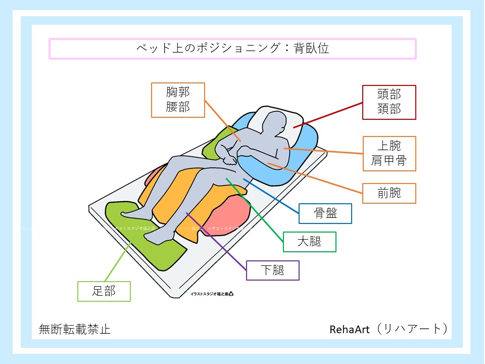 ベッド上ポジショニングで各体節の適切な支持により安定している姿勢の図