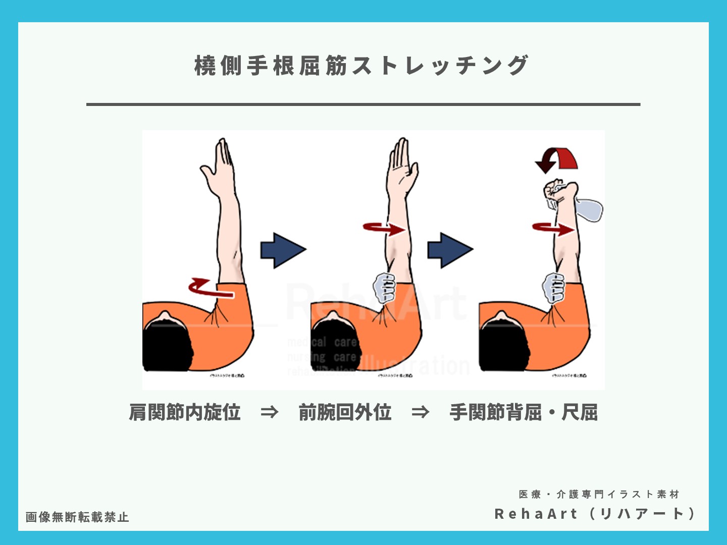 イラストで分かる橈側手根屈筋ストレッチング、ストレッチング方法