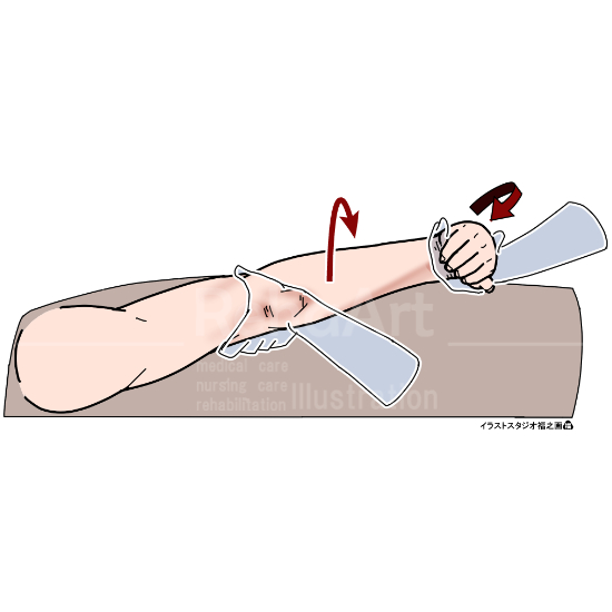 イラストで分かる（長・短）橈側手根伸筋ストレッチング