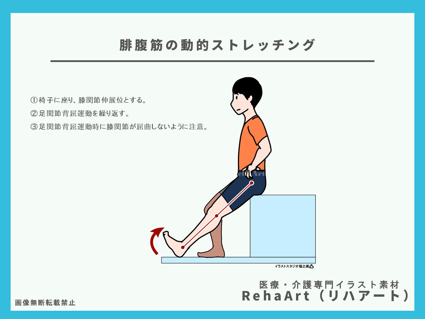腓腹筋とヒラメ筋の起始停止とストレッチング方法のイラスト・解剖図・ブログ・おすすめ・足・脚・運動4