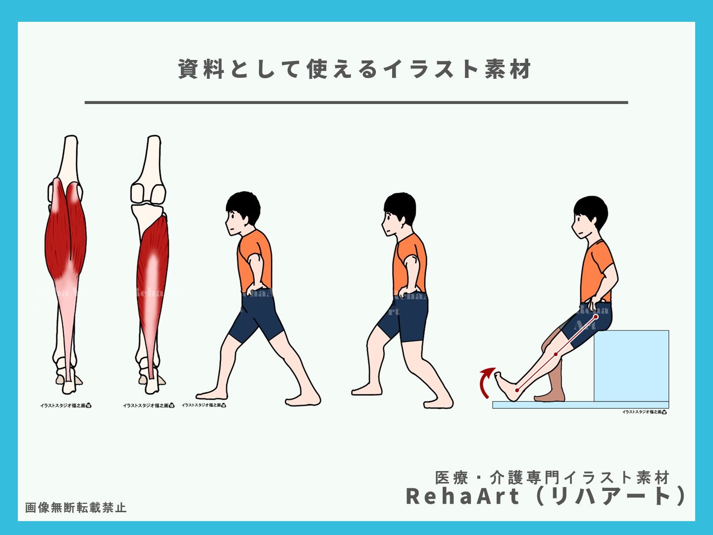 腓腹筋とヒラメ筋の起始停止とストレッチング方法のイラスト・解剖図・ブログ・おすすめ・足・脚・運動5