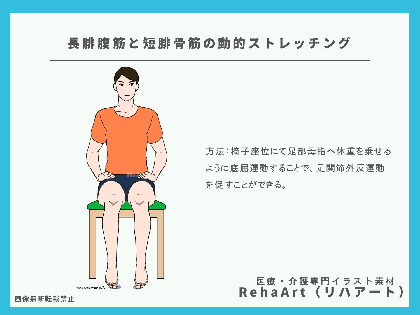 長腓骨筋と短腓骨筋の起始停止とストレッチ方法4イラスト解剖図