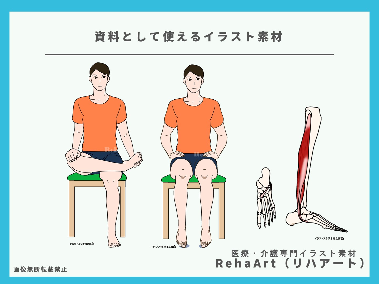 長腓骨筋と短腓骨筋の起始停止とストレッチ方法5イラスト解剖図