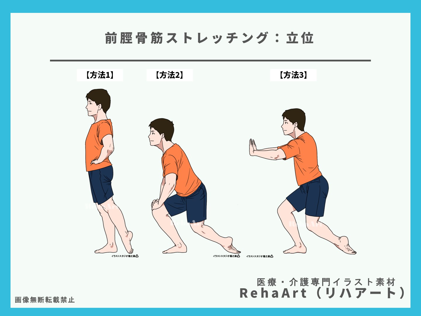 前脛骨筋の起始停止と作用とストレッチ方法のイラスト・画像2