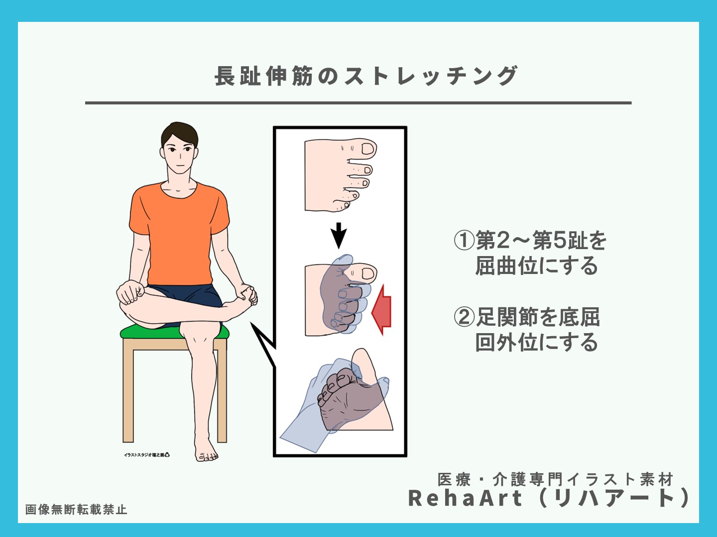 自主トレーニング用、イラスト、長趾伸筋、ストレッチ、起始停止、高齢者、医療、リハビリ3