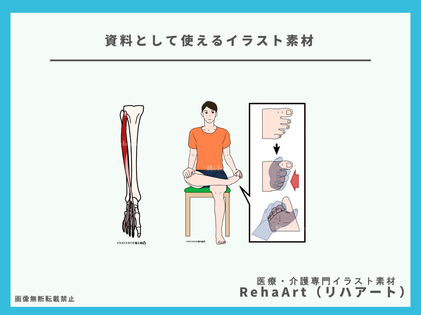 自主トレーニング用、イラスト、長趾伸筋、ストレッチ、起始停止、高齢者、医療、リハビリ4