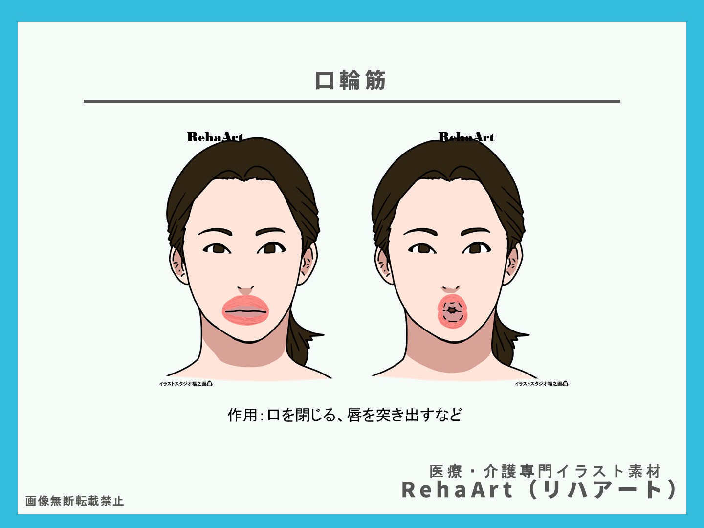 2.自宅でできる口のトレーニング：ボタン訓練の効果と方法と口輪筋のイラスト・画像、解剖図、口すぼめ