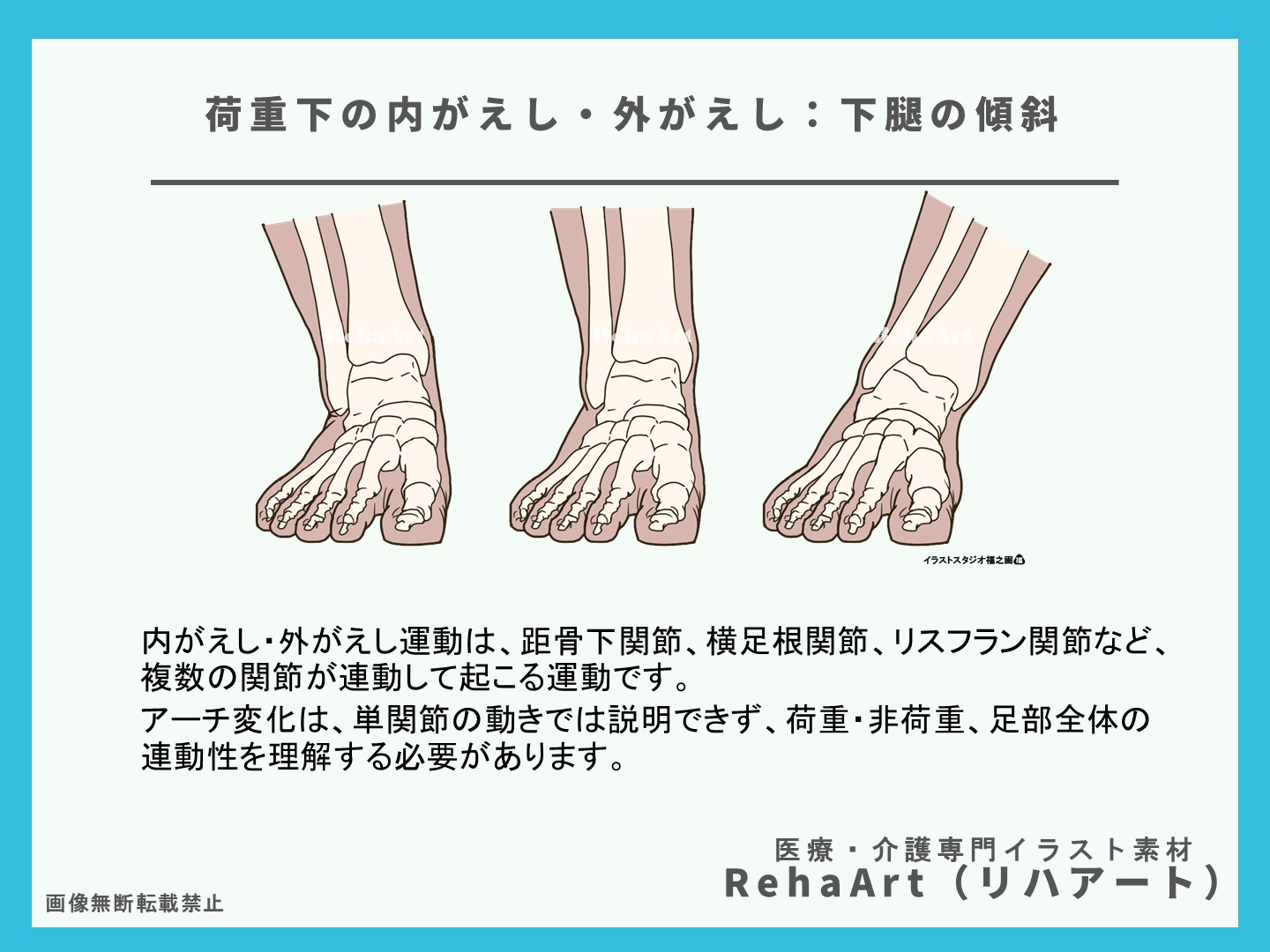 内がえし・外がえし・荷重・下腿・傾斜・アライメント・関節2